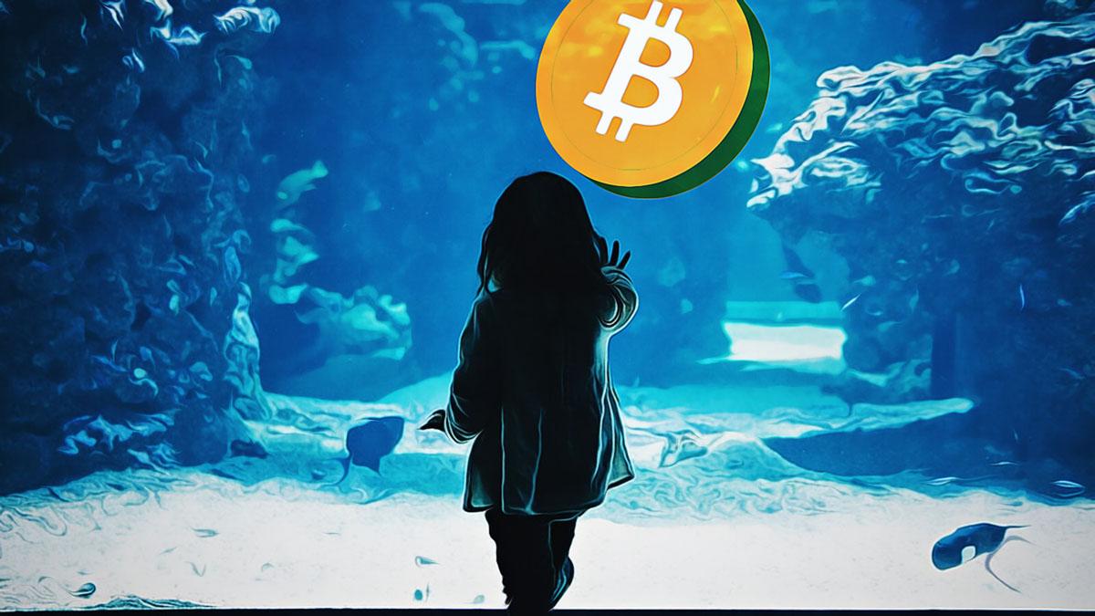 比特币价格有望突破10万美元-最新加密货币动态