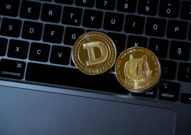 Under Bearish Sentiment, Dog Prices Decline.